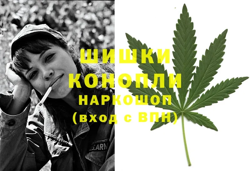 Конопля OG Kush  закладки  Карачев 